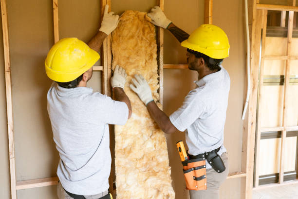 Best Insulation Contractors for Homes  in San Saba, TX